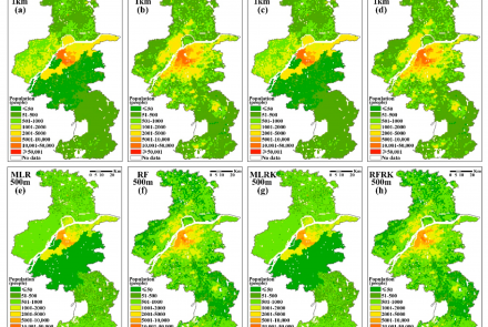 The spatial distribution of downscaled population in 2020
